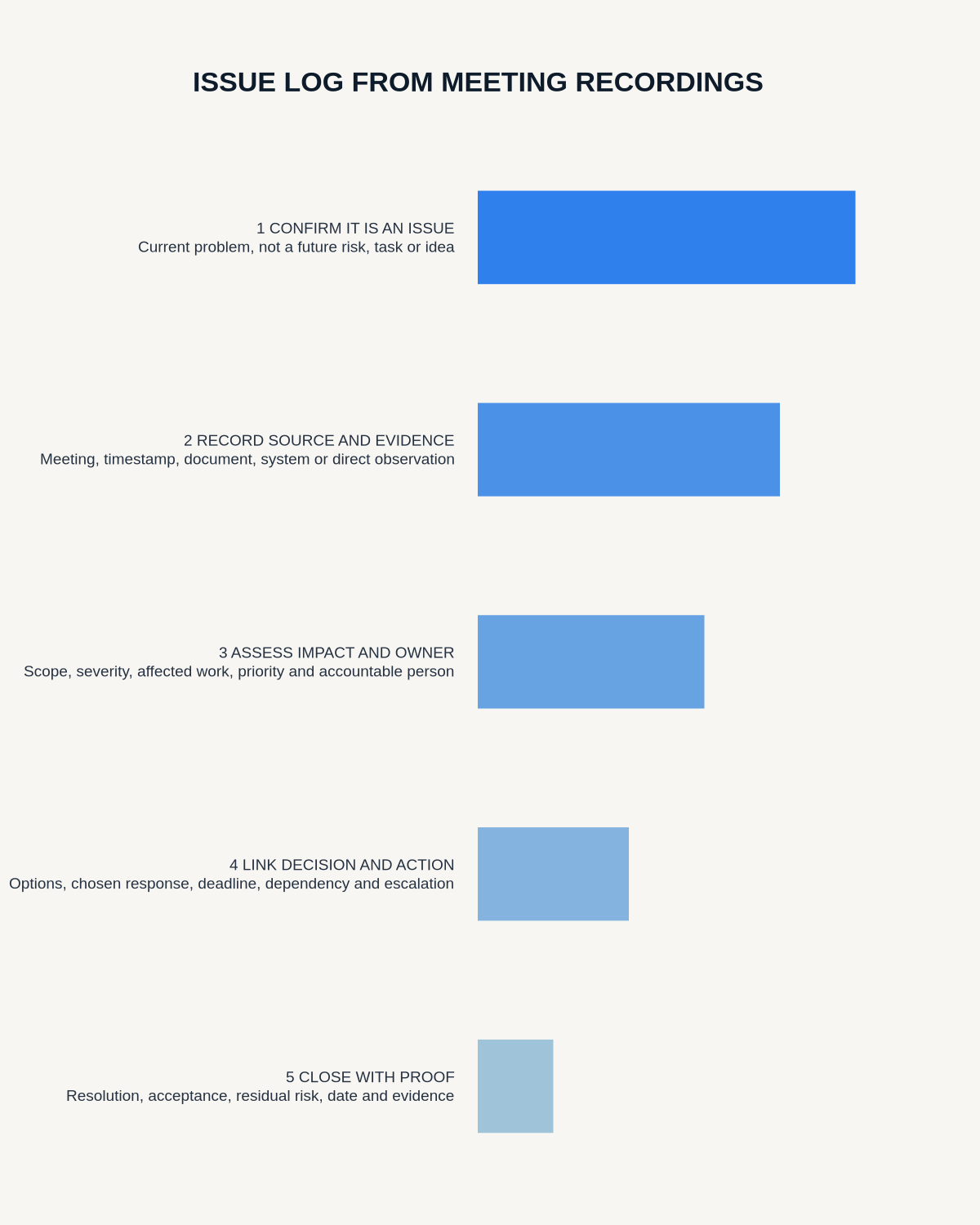 Issue log infographic covering issue classification, source evidence, impact and ownership, decisions and actions, and closure evidence.